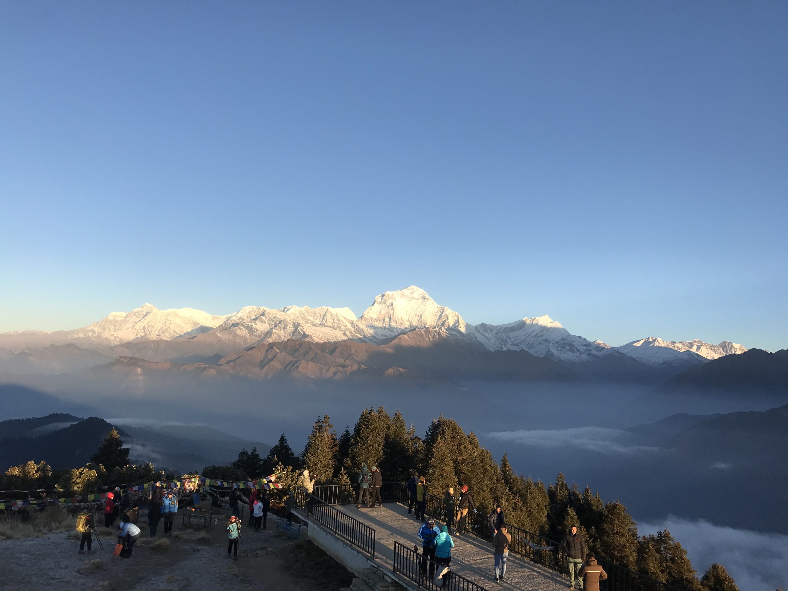Ghorepani Poon Hill Trek